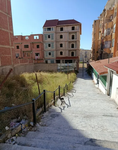 Vente Terrain Constantine Constantine