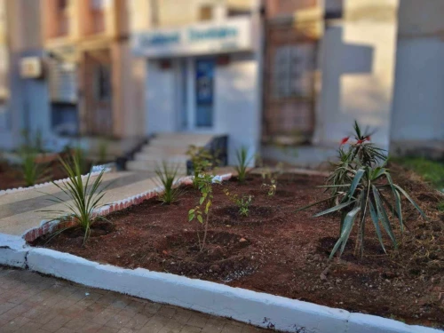 Vente bien immobilier Oran Oran
