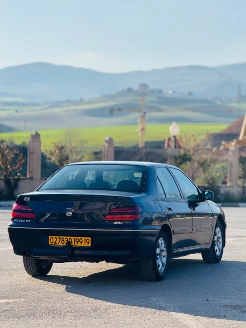Peugeot 406 1999 406