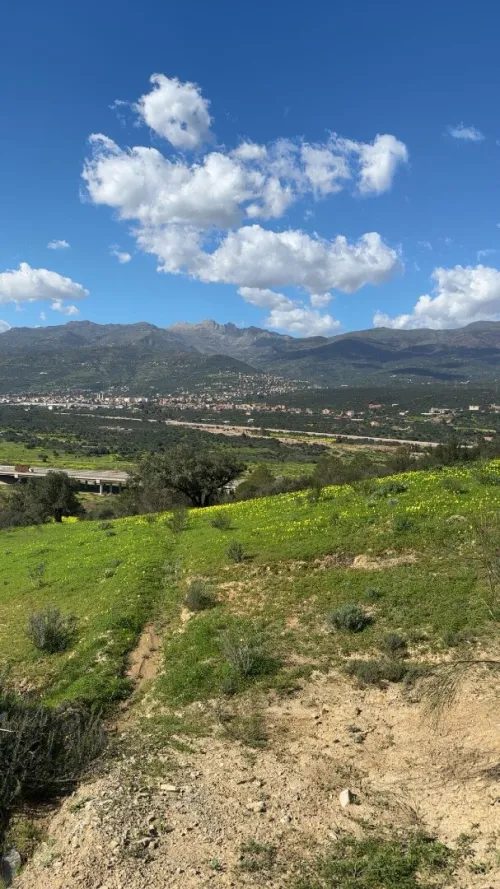 Vente Terrain Béjaïa Seddouk