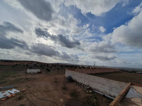 Vente Terrain Agricole Oran Boufatis