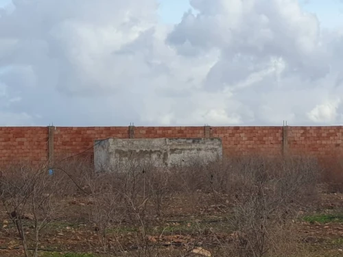 Vente Terrain Agricole Oran Boufatis