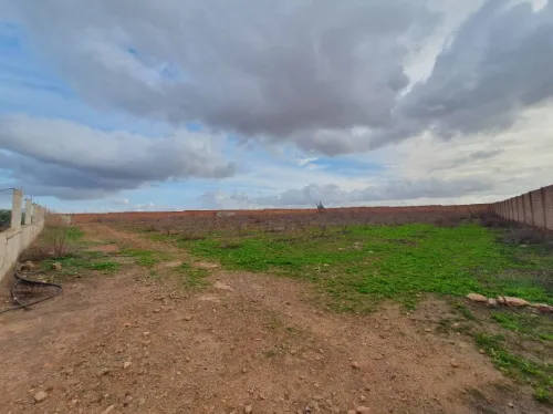Vente Terrain Agricole Oran Boufatis