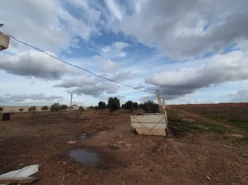 Vente Terrain Agricole Oran Boufatis