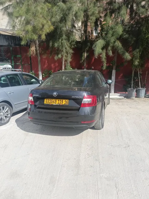 Skoda Octavia 2019 Business