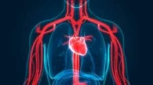 Medecin a domicile