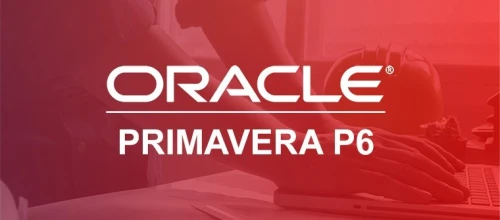 FORMATION PRIMAVERA P6