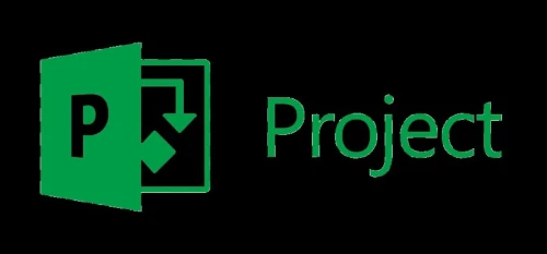 Formation MS PROJECT