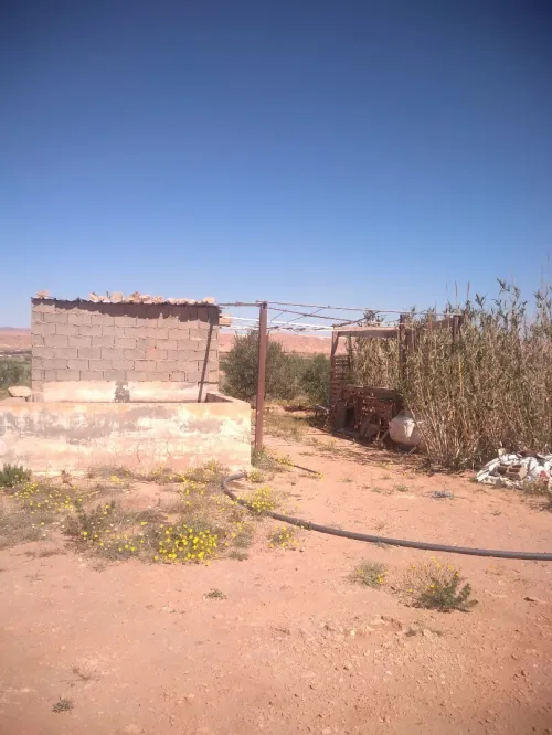 Vente Terrain Agricole Laghouat Laghouat