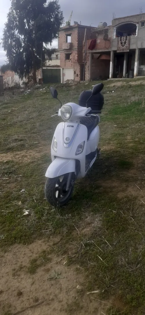 sym fiddle 3 2015