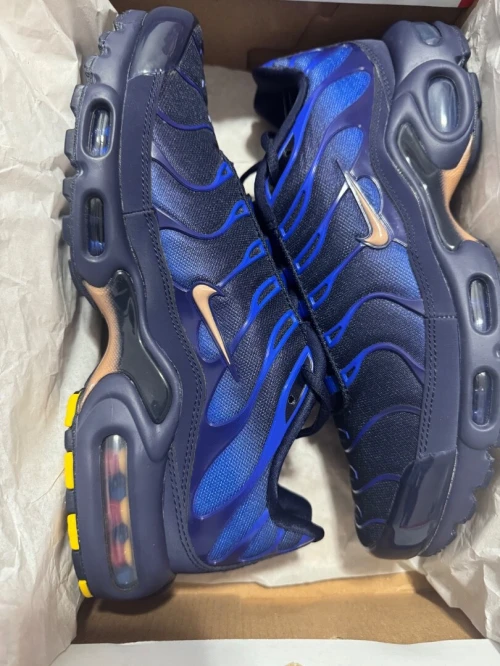 Nike Tn araignée FFF