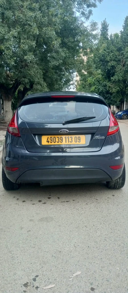 Ford Fiesta 2013 Fiesta