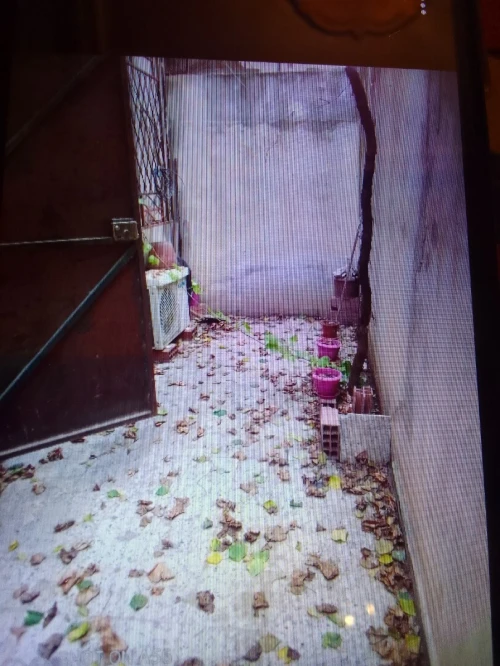 Vente Villa Constantine Ouled rahmoune