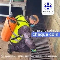 Désinsectisation: cafards , moustiques ,fourmis, punaises de lit, puces , mites et insectes rampants et volants