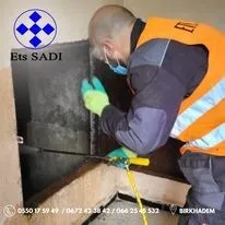 Désinsectisation: cafards , moustiques ,fourmis, punaises de lit, puces , mites et insectes rampants et volants