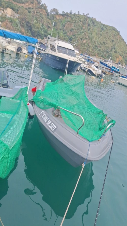 Bateau