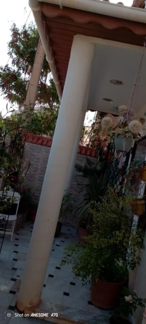 Vente Villa Alger Staoueli