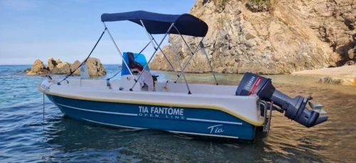 Tia fonton