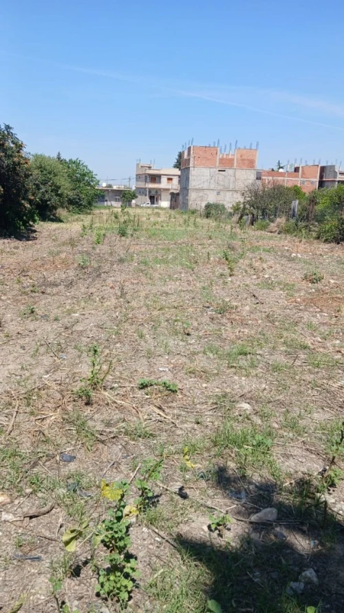 Vente Terrain Blida Bouinan