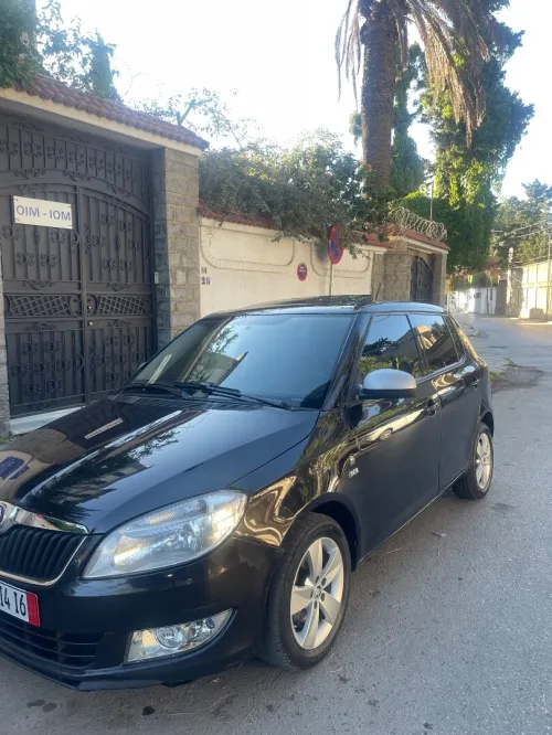 Skoda Fabia 2014 Fresh