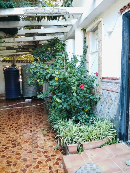 Location vacances Appartement F3 Béjaïa Tichy