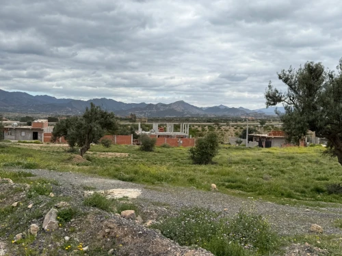 Location Terrain Bouira Ath mansour taourirt