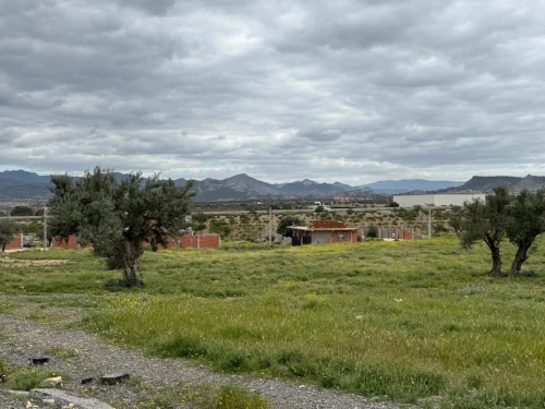 Location Terrain Bouira Ath mansour taourirt