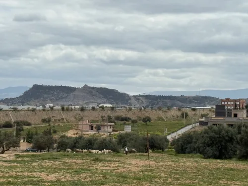 Vente Terrain Bouira Ath mansour taourirt