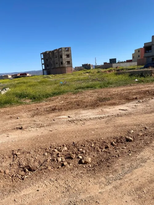 Vente Terrain Tlemcen Zenata