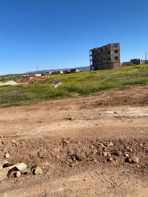 Vente Terrain Tlemcen Zenata