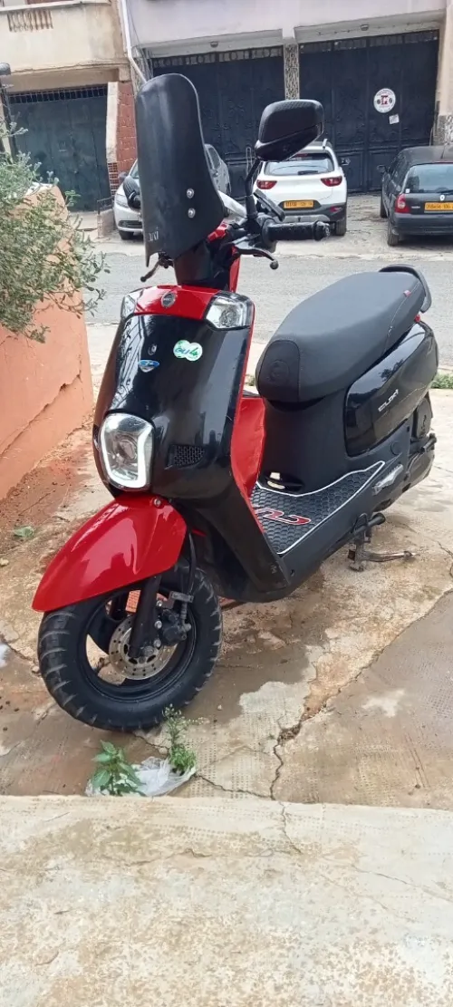 Cuxi coxi couxi كوكسي Vms فياماس 2023