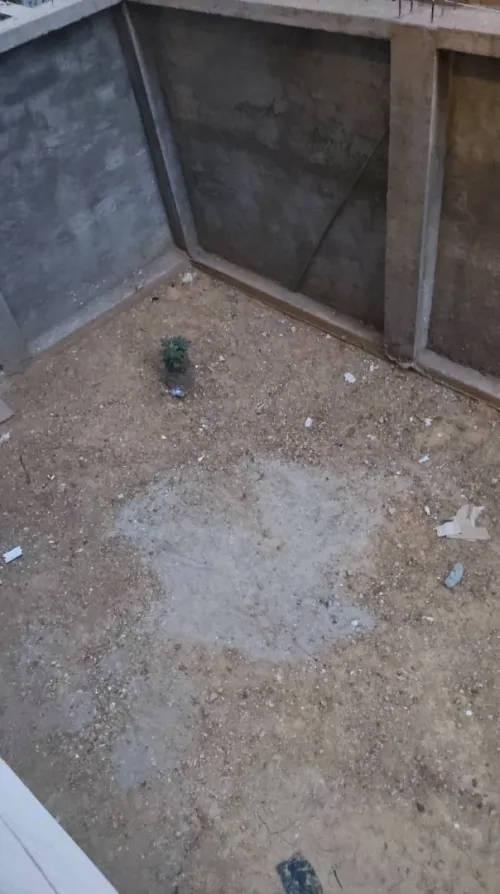 Location Appartement F04 Alger Kouba