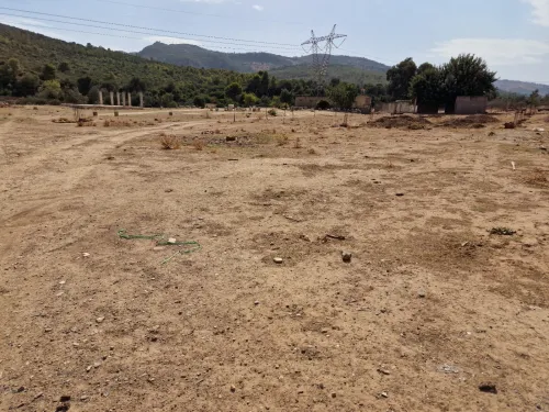 Vente Terrain Blida Djebara