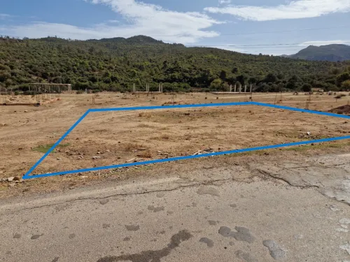 Vente Terrain Blida Djebara
