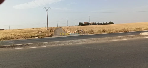 Vente Appartement Niveau de villa Tiaret Tiaret
