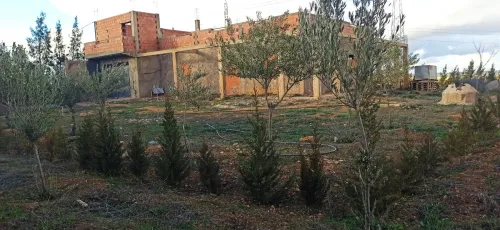 Vente Appartement Niveau de villa Tiaret Tiaret