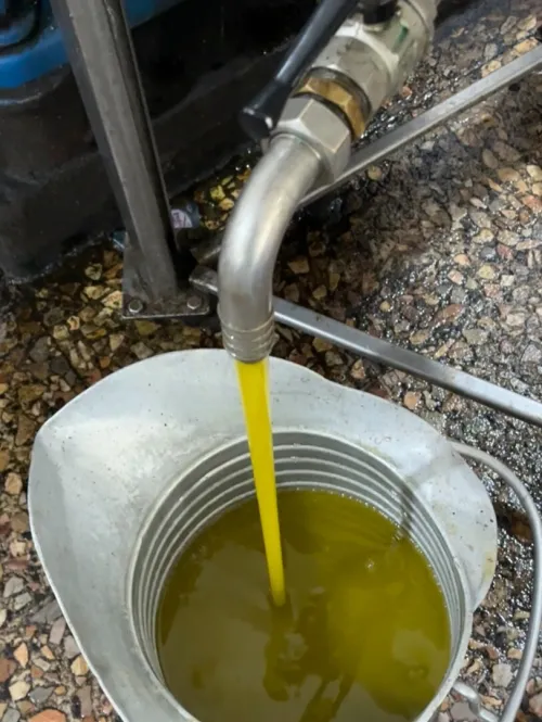Huilerie olive