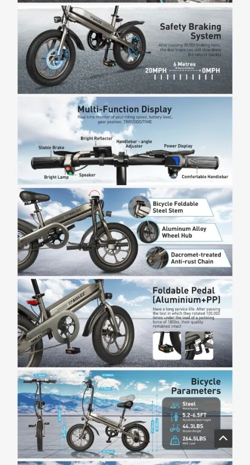 Electric Bike