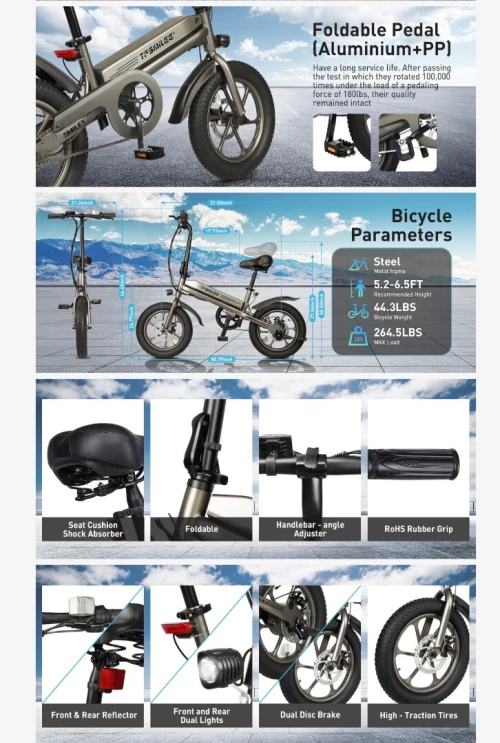 Electric Bike