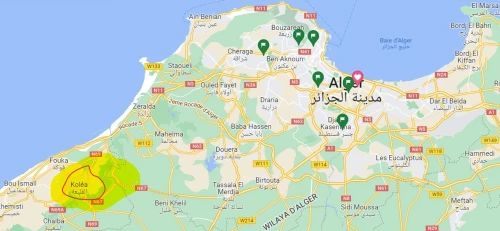 Location Appartement F4 Tipaza Kolea