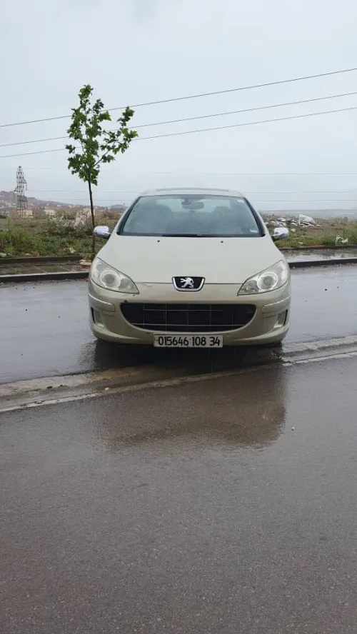 Peugeot 407 2008 407