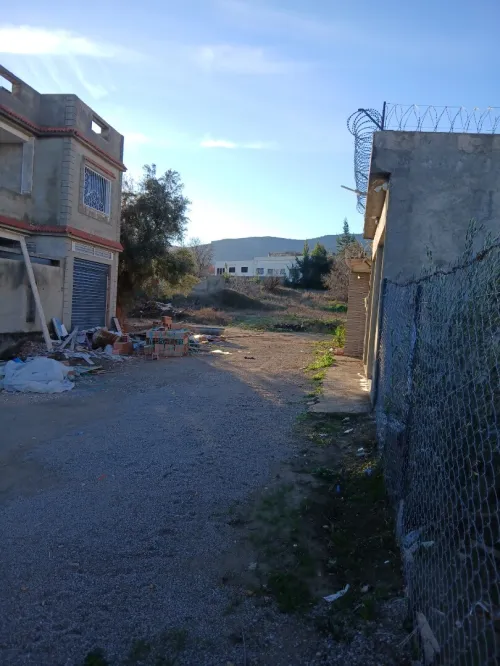 Vente Terrain Tlemcen Tlemcen