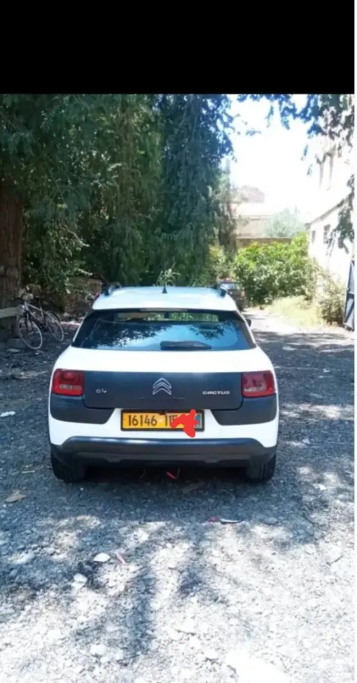 Citroen C4 Cactus 2015 C4 Cactus