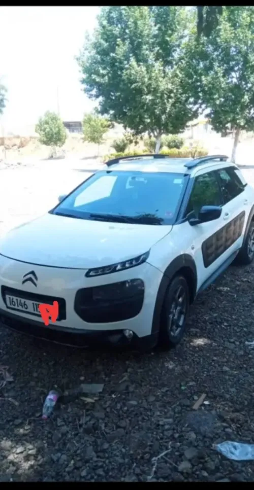 Citroen C4 Cactus 2015 C4 Cactus