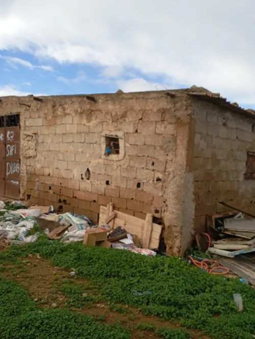 Vente Terrain Agricole Aïn Témouchent Sidi safi