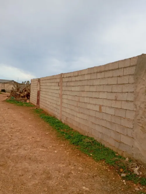 Vente Terrain Agricole Aïn Témouchent Sidi safi