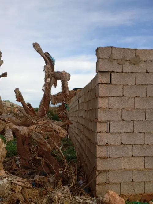 Vente Terrain Agricole Aïn Témouchent Sidi safi