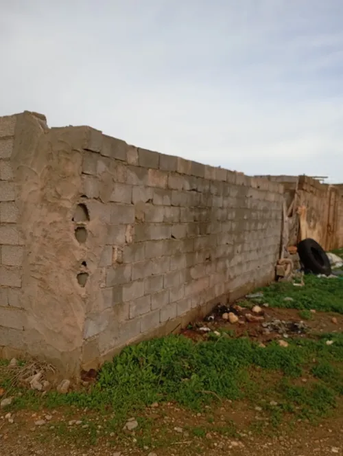 Vente Terrain Agricole Aïn Témouchent Sidi safi