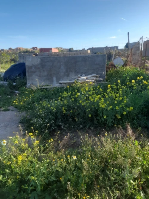 Vente Terrain Agricole Aïn Témouchent Sidi safi