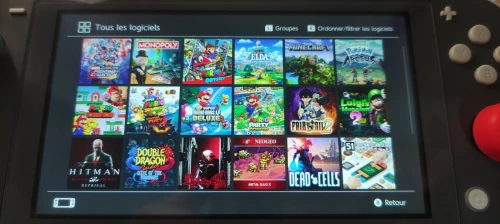 Nintendo Switch Lite (Flashé)